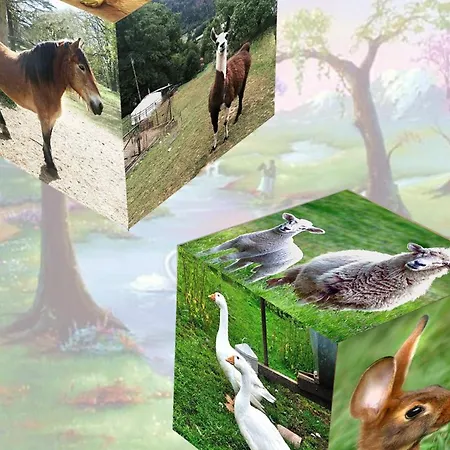 Σπίτι διακοπών Yourte Atypique Avec Sauna Et Terrasse Privative - Fr-1-589-765 *