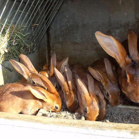 Yourte Atypique Avec Sauna Et Terrasse Privative - Fr-1-589-765 * Ferdrupt