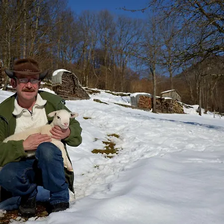 Yourte Atypique Avec Sauna Et Terrasse Privative - Fr-1-589-765 Nyaraló *