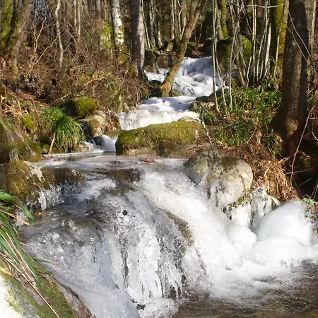 Yourte Atypique Avec Sauna Et Terrasse Privative - Fr-1-589-765 Nyaraló *