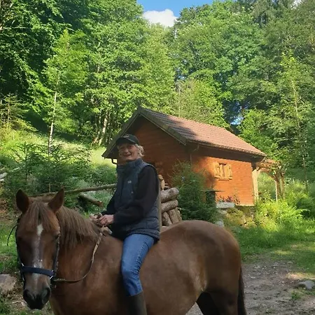 Yourte Atypique Avec Sauna Et Terrasse Privative - Fr-1-589-765 *