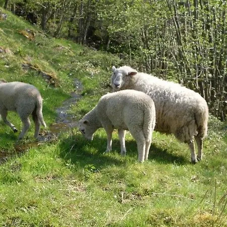 Yourte Atypique Avec Sauna Et Terrasse Privative - Fr-1-589-765 * Ferdrupt