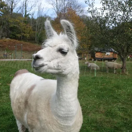 Yourte Atypique Avec Sauna Et Terrasse Privative - Fr-1-589-765 Σπίτι διακοπών Ferdrupt