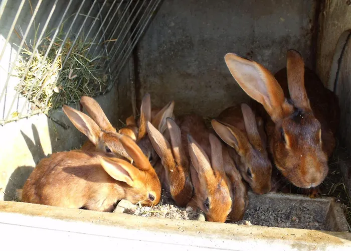 Yourte Atypique Avec Sauna Et Terrasse Privative - Fr-1-589-765 * Ferdrupt