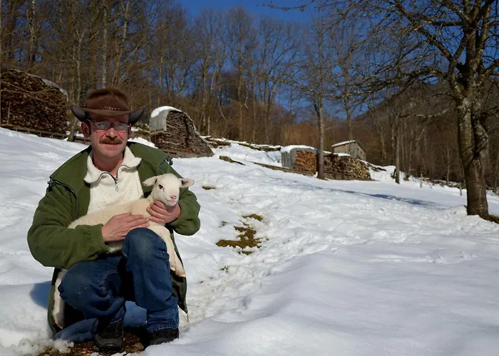 Yourte Atypique Avec Sauna Et Terrasse Privative - Fr-1-589-765 Holiday home *