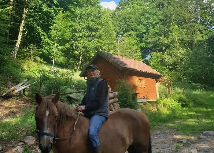 Yourte Atypique Avec Sauna Et Terrasse Privative - Fr-1-589-765 *